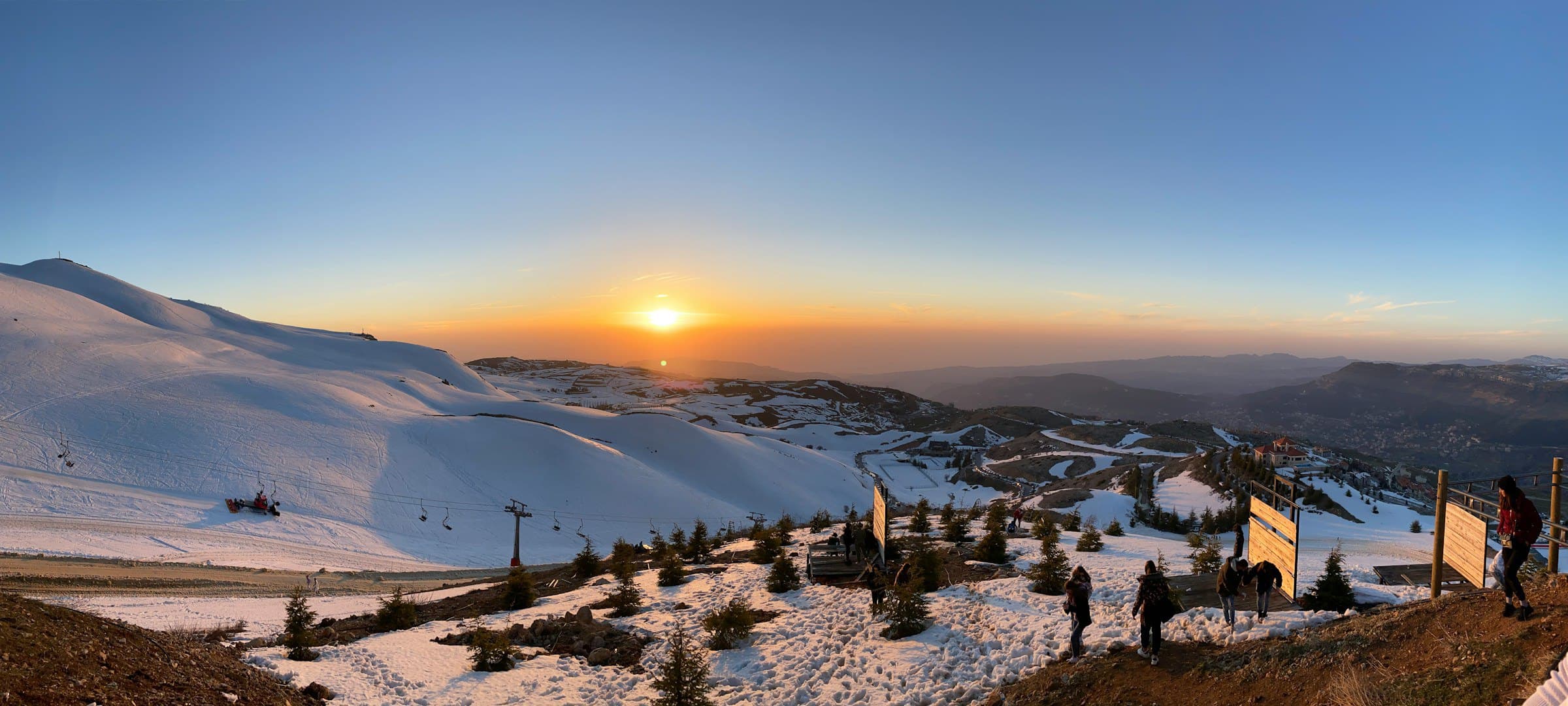Faraya